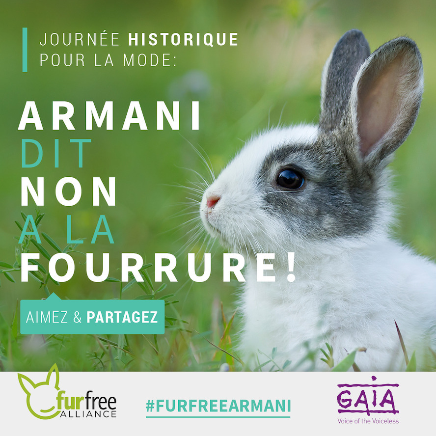 Armani abandonne la fourrure