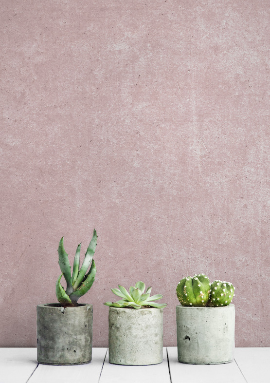 Pink Rustic Concrete Wall Mural