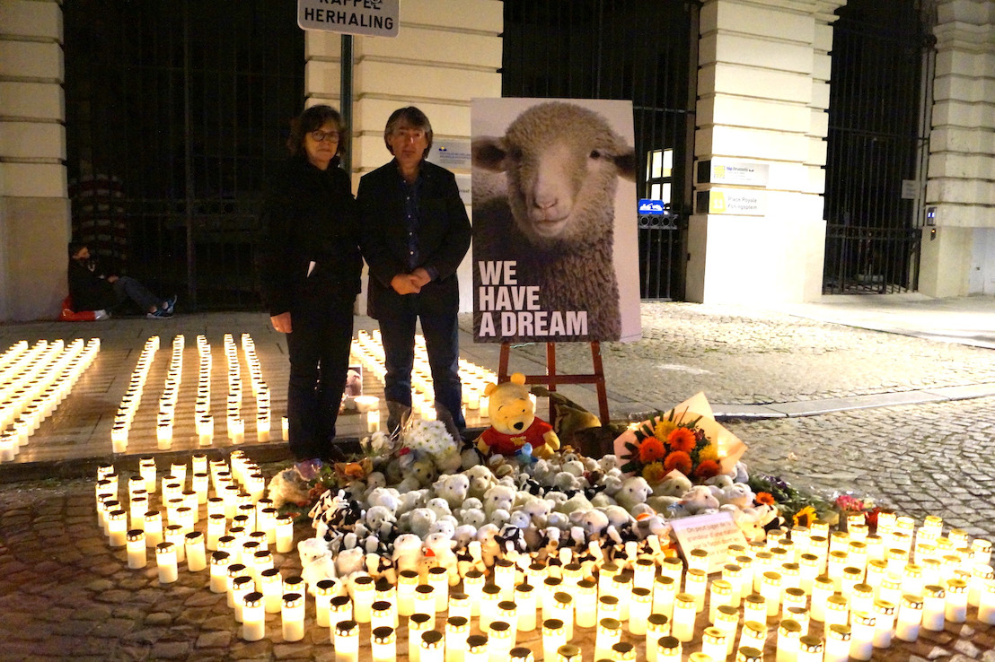 Veillée de GAIA pour les animaux abattus sans étourdissement lors de la fête du sacrifice
