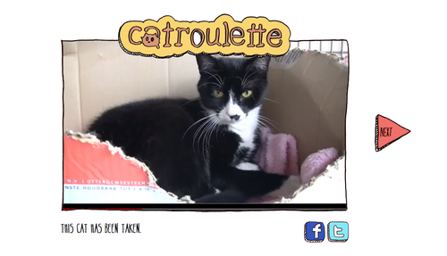 Tachi sur Catroulette
