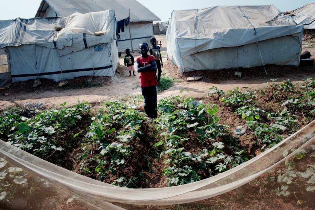 MSF159625<br/>General view of the a displaced persons camp in M'Poko, Bangui.