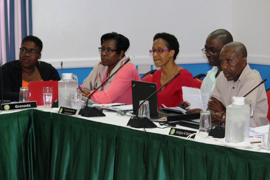 Workshop participants