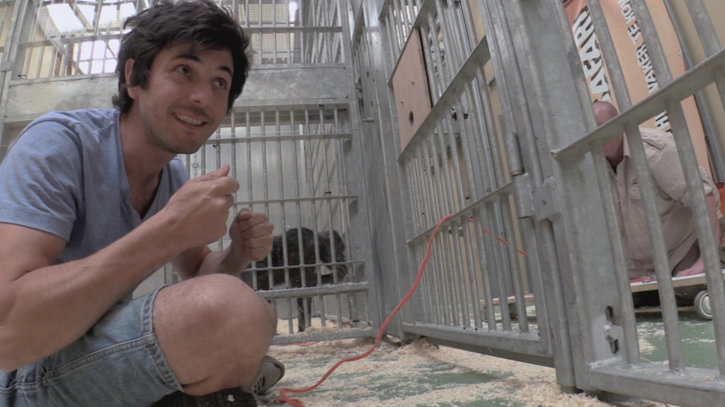 Aflevering 8: de chimpansee- sociale intelligentie