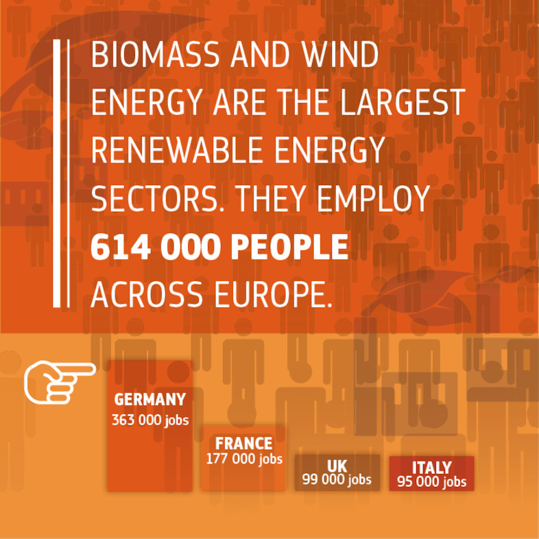 Source: https://www.eurobserv-er.org/16th-annual-overview-barometer