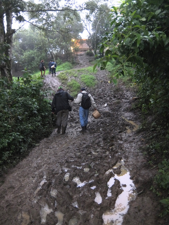 Visitors navigate one of the easier mountain trails.