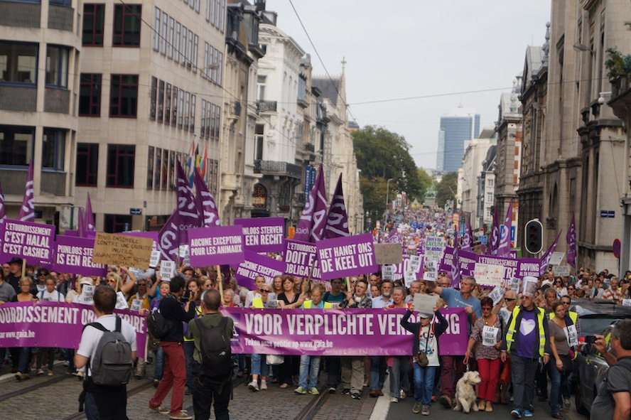 Les sites temporaires d'abattage illégaux toujours autorisés à Bruxelles pour la Fête du Sacrifice, malgré la loi européenne