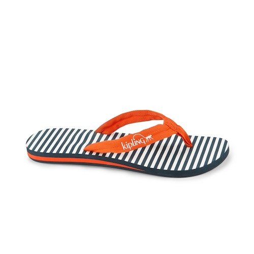 Flip-Flops Marine Print