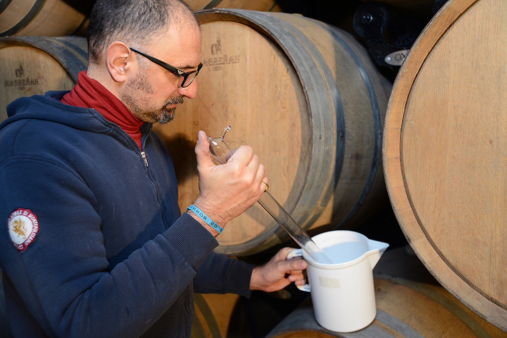 Green worker profile - Fabrizio Savino, © Salcheto