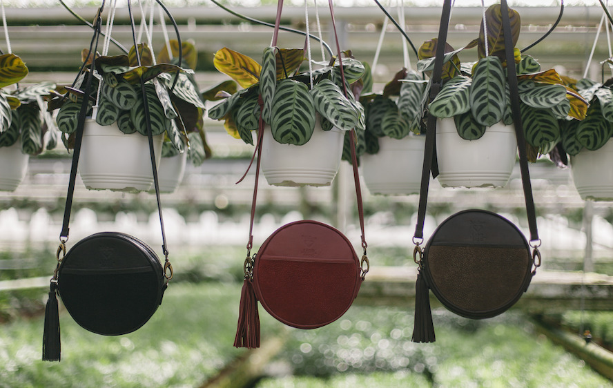 Collaboration exclusive entre Julia June et Labo Sabo