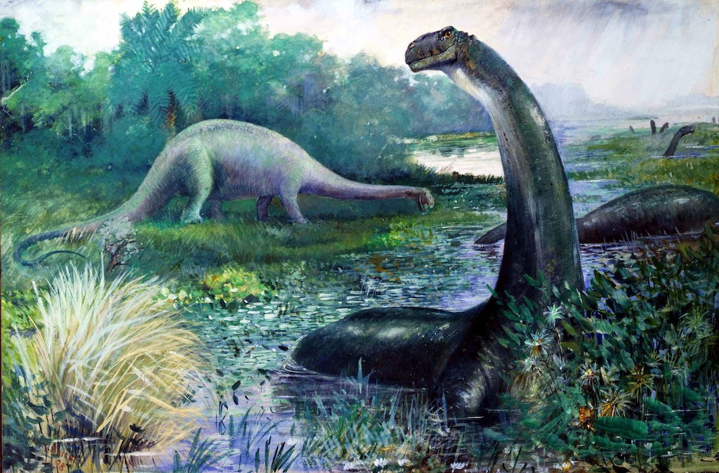 Apatosaurus, (Brontosaurus) by Charles R. Knight, 1898, American Museum of Natural History