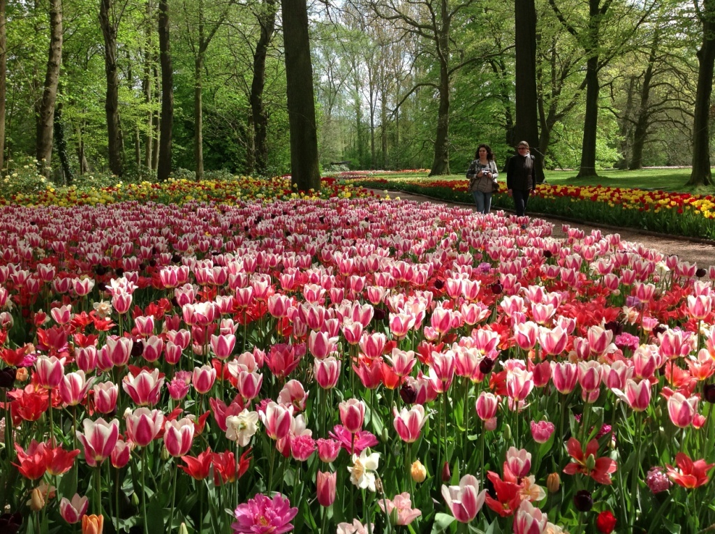© Floralia Brussels