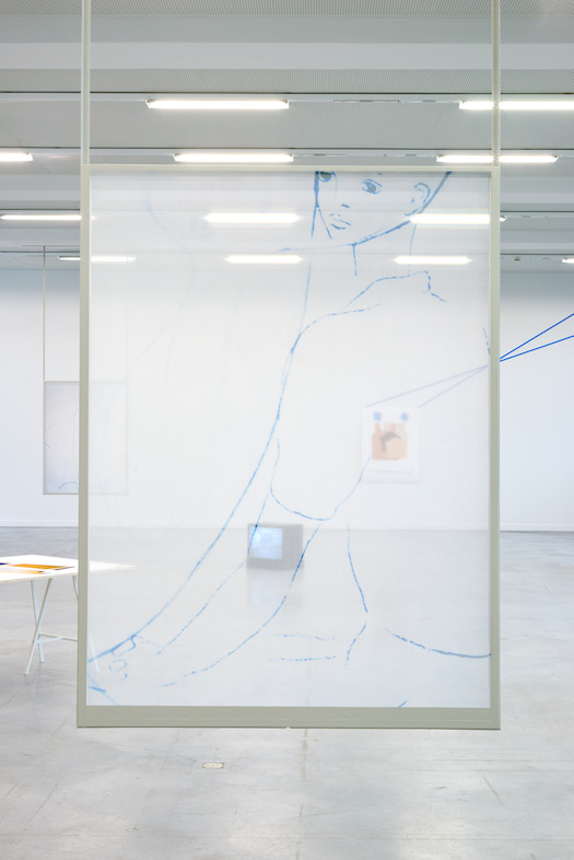 Jimmy Robert. Silks, 2015, M - Museum Leuven. Foto (c) Dirk Pauwels