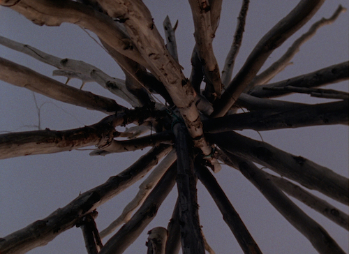 Jessica Warboys, Shaded Wood, 2014<br/>Film still,16mm, z/w, geluid