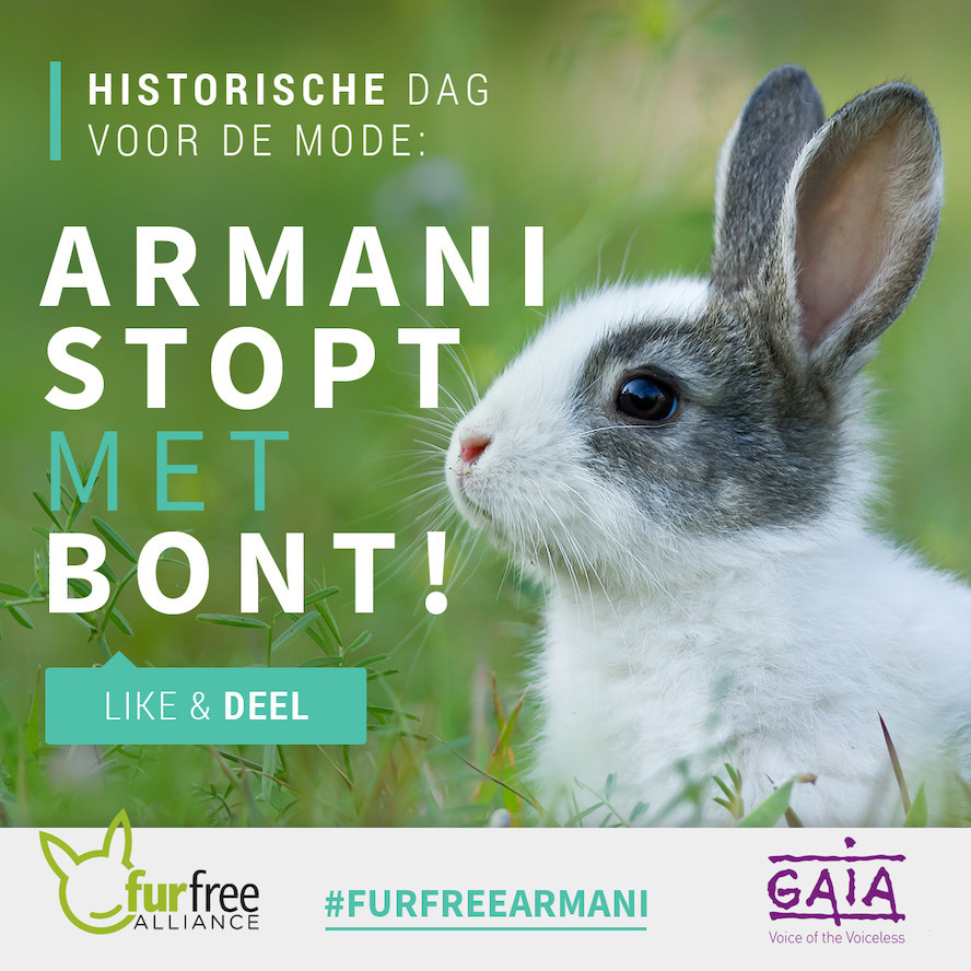 GAIA looft beslissing Armani om bont uit collecties te bannen