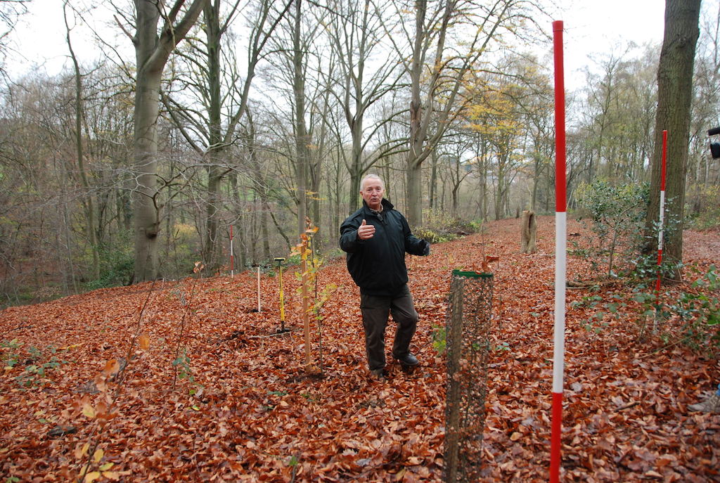'Commune forêt pour tous'