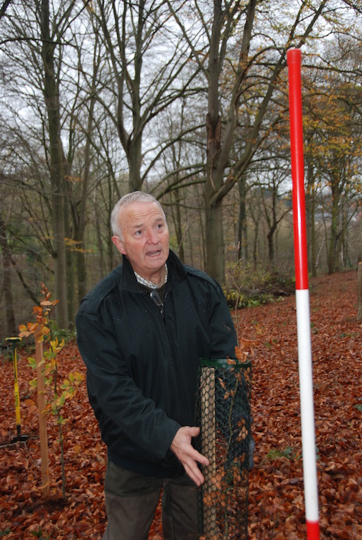 'Commune forêt pour tous'