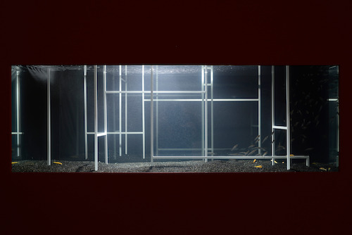 © photo Isabelle Arthuis
