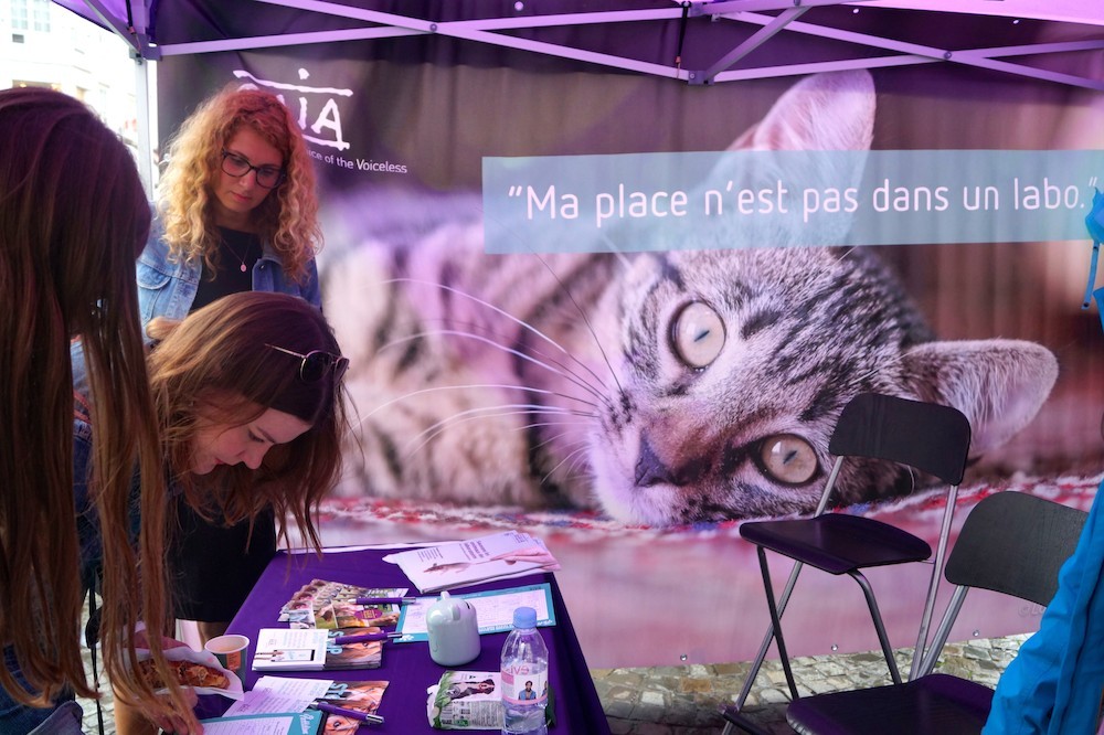 Sondage IPSOS : 91 % des Liégeois veulent faire interdire les tests sur les chiens et les chats