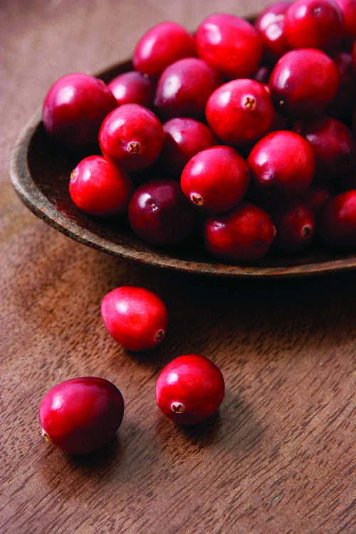 Cranberry Bog