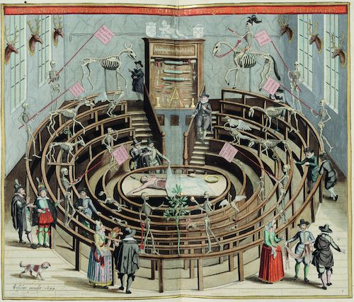 Anatomisch theater, Joannes Blaeu, Toonneel der steden van de Vereenighde Nederlanden, met hare beschrijvingen, Amsterdam, 1649 © Koninklijke Bibliotheek van België, III 94.530 E 1.