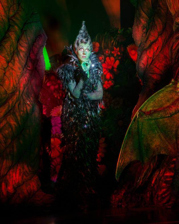 Shani Hadjian as the Wicked Witch of the West<br/>Photo credit: DANIEL A. SWALEC