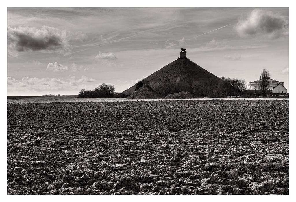 STAM - Leeuw van Waterloo, 2014 © Michiel Hendryckx