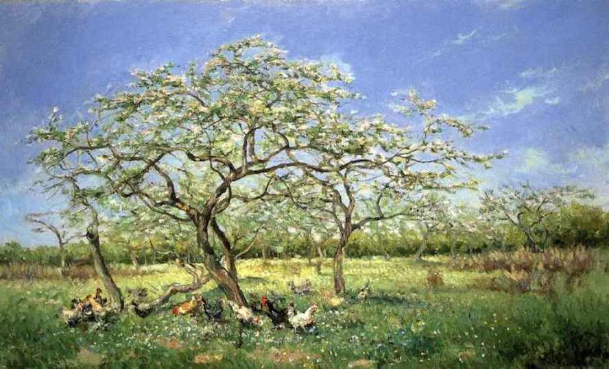 Het vrije landschap