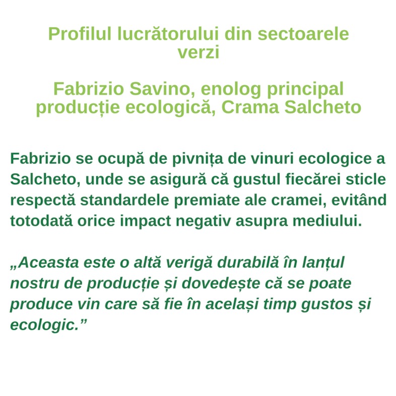 Profilul lucrătorului din sectoarele verzi - Fabrizio Savino