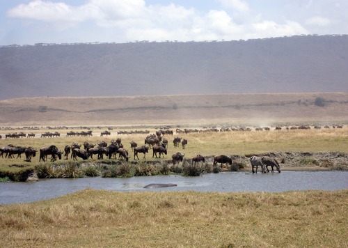 Te Voet - Tanzania
