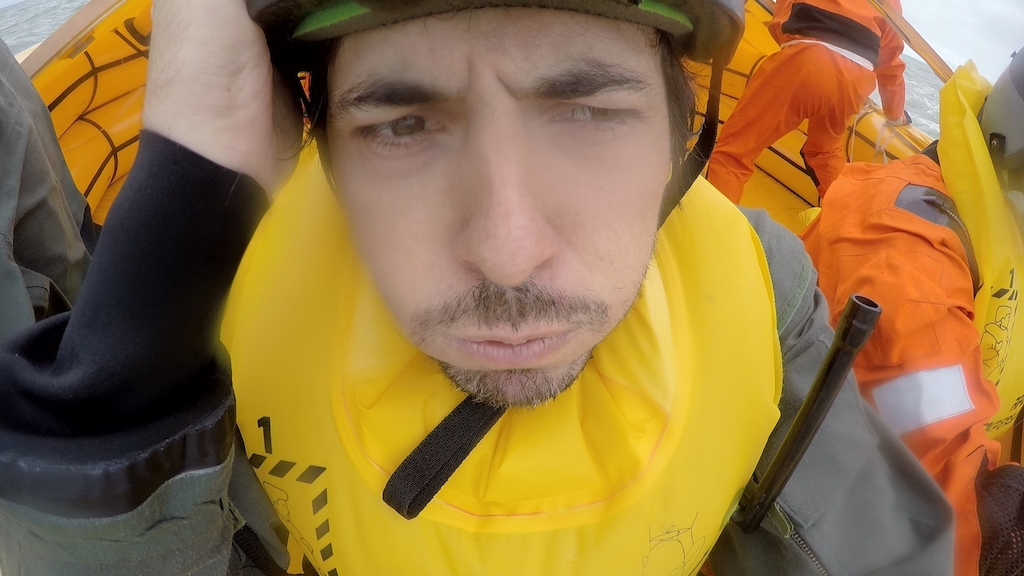 Copy beest- de duif (c) VRT