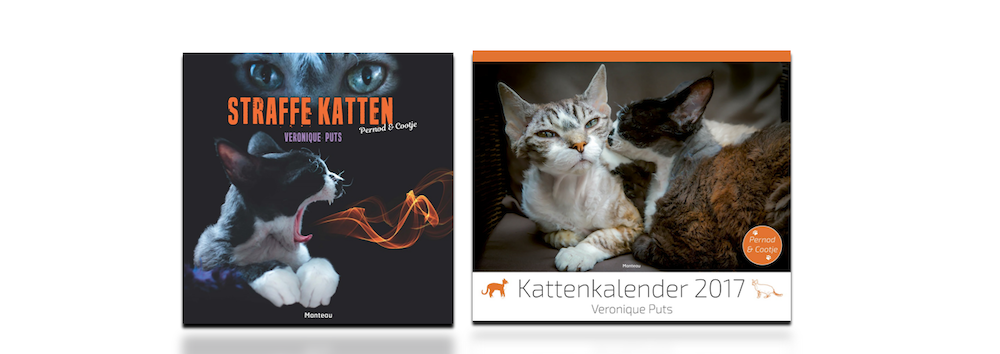 'Straffe katten' en 'Kattenkalender 2017': twee gloednieuwe uitgaven met Vlaanderens populairste katten in de hoofdrol