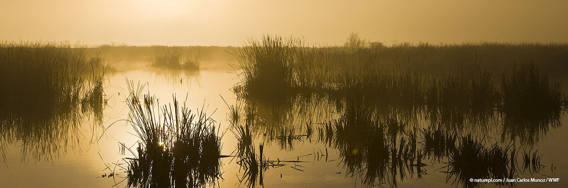 WWF campaign win: Spain must now commit to stop dredging inside outstanding wetland site