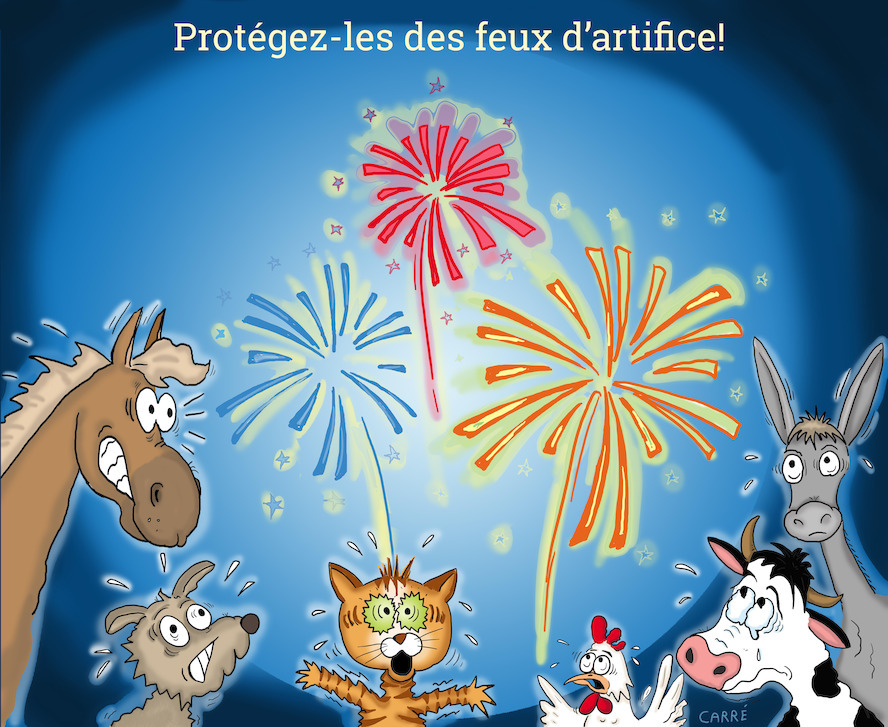 GAIA réclame une interdiction des feux d'artifice pour les particuliers