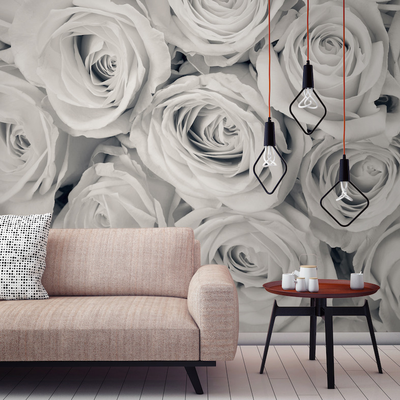 Rose Mist Wallpaper Mural