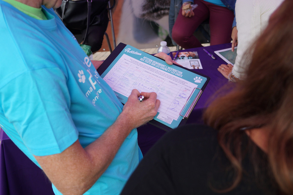 Sondage IPSOS : 96 % des Hainuyers veulent faire interdire les tests sur les chiens et les chats