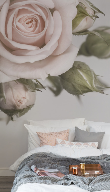 Elegant Pink Rose Wallpaper Mural