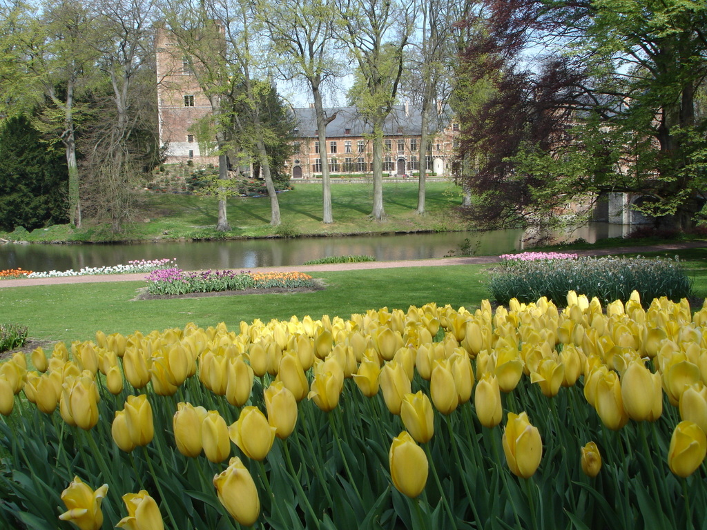 © Floralia Brussels