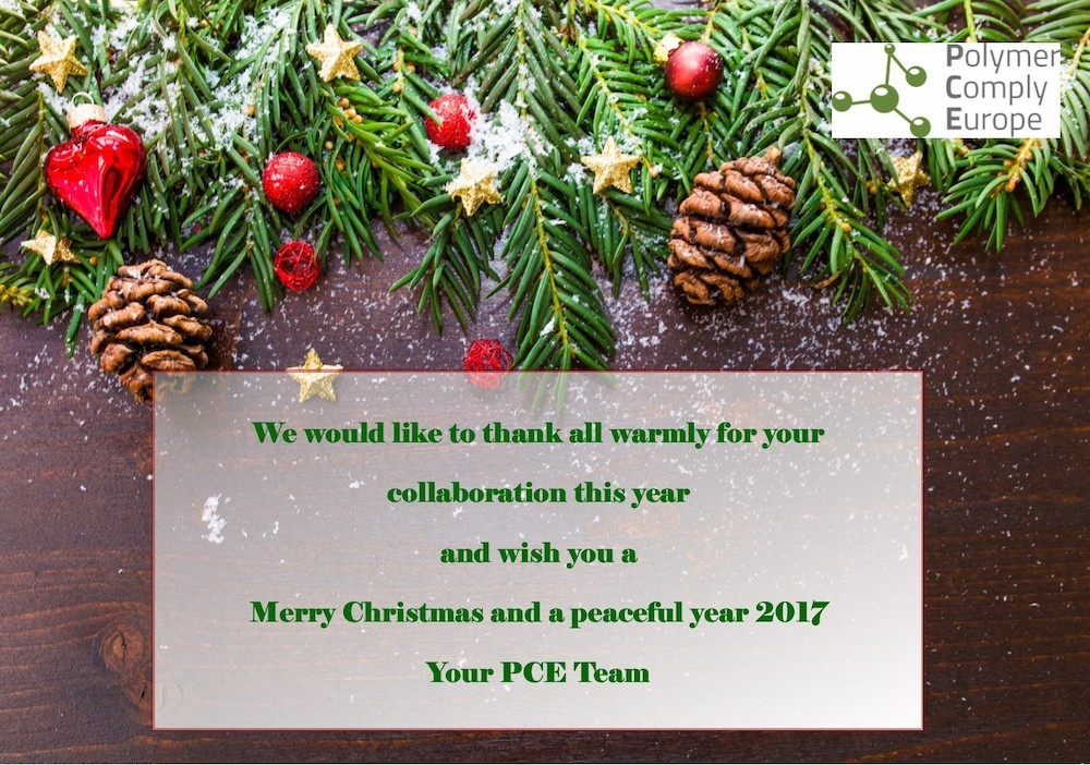 Happy Holidays from the PCE Team