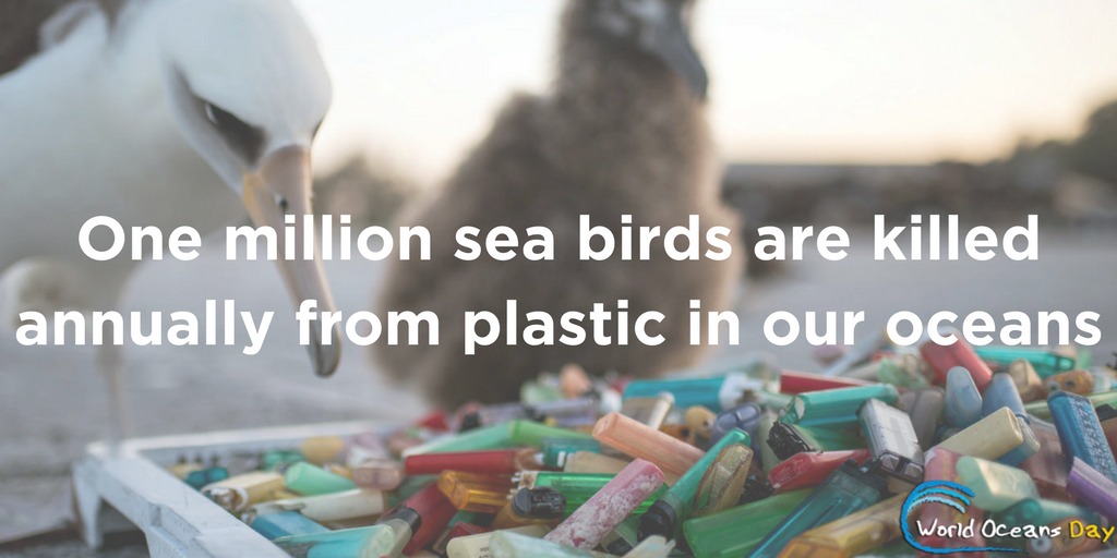World Oceans Day graphic