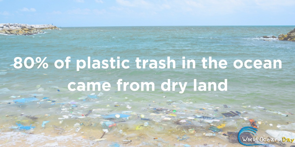 World Oceans Day graphic