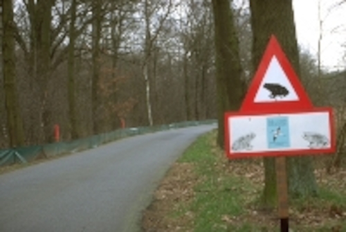 "Paddenoverzet Actie" van Natuurpunt