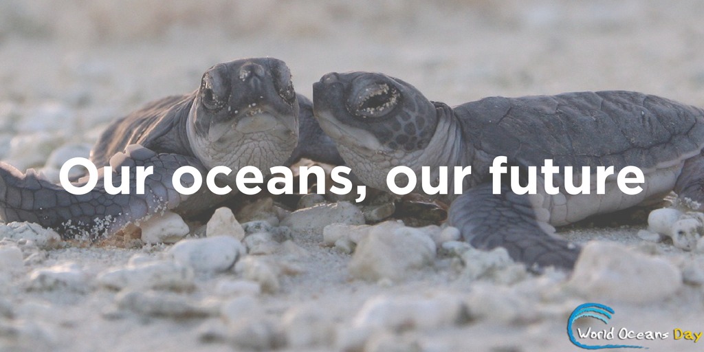 World Oceans Day graphic