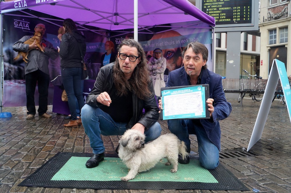 IPSOS-ENQUÊTE: BIJNA 80% OOST-VLAMINGEN PRO VERBOD OP PROEVEN OP HONDEN EN KATTEN