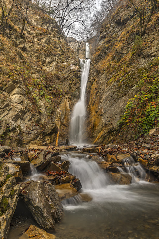 Qabala Forest, Azerbaijan