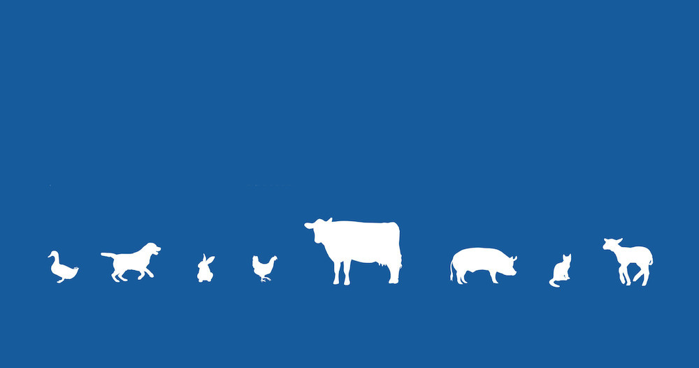 Morgen, Werelddierendag: GAIA wil dierenrechten in de Grondwet