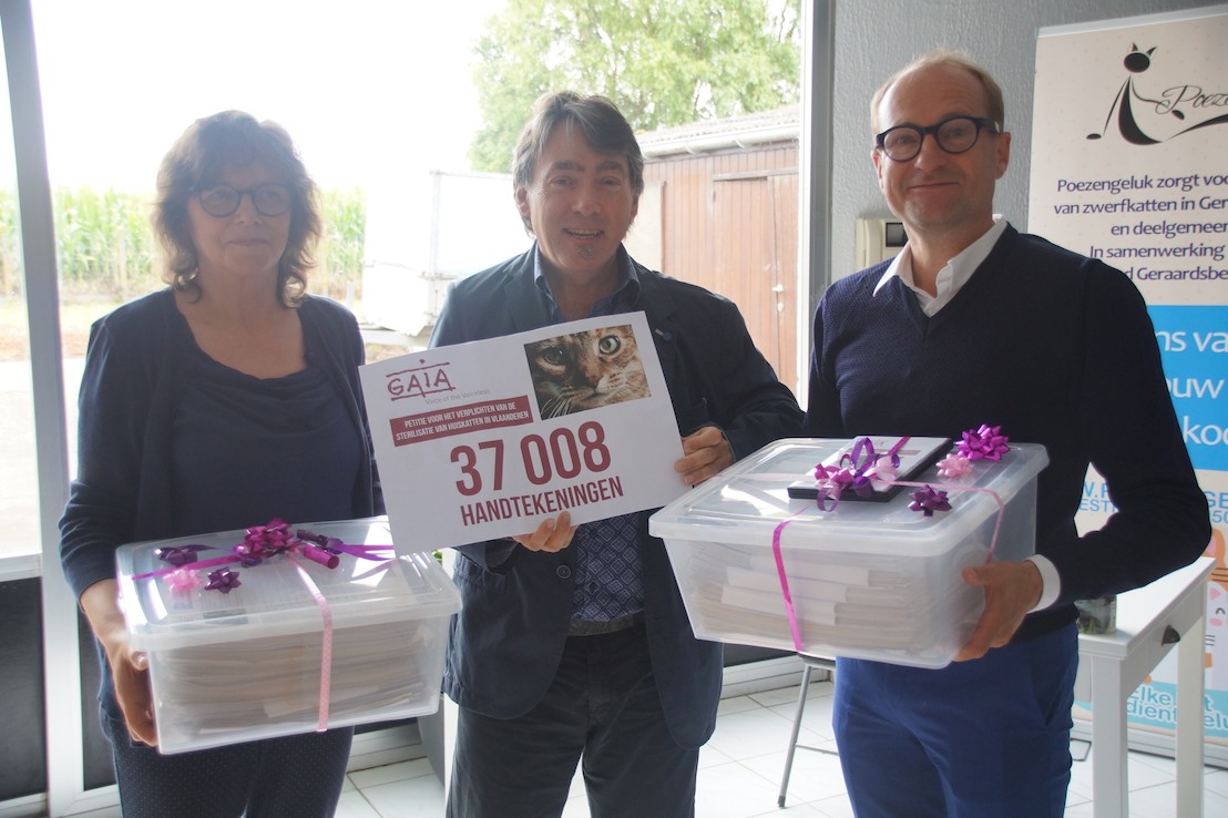 37.008 handtekeningen voor verplichte kattensterilisatie in Vlaanderen