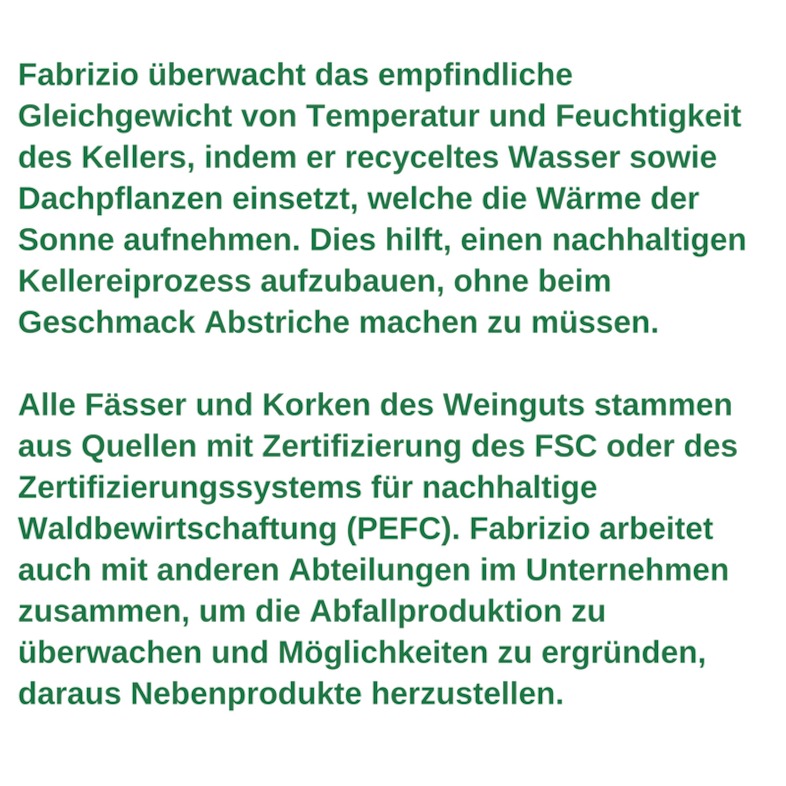 Arbeitnehmerprofil für grüne Arbeitsplätze - Fabrizio Savino