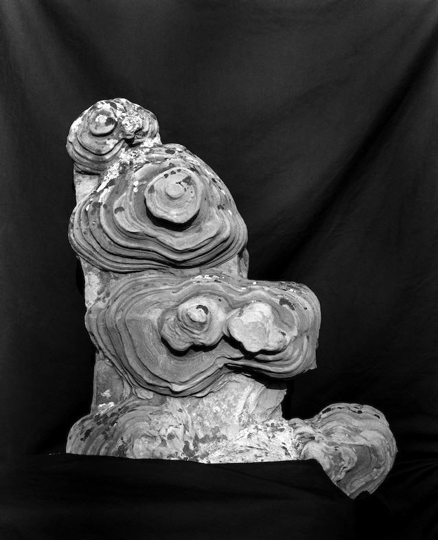 Aurélien Froment<br/>Tombeau Idéal de Ferdinand Cheval (11-07)<br/>2014<br/>Archival pigment print<br/>61,5 x 51,5 cm <br/>Courtesy of the artist and Marcelle Alix, Paris