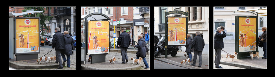 Pedigree et DDB lancent des promenades interactives via un réseau d’abribus.
