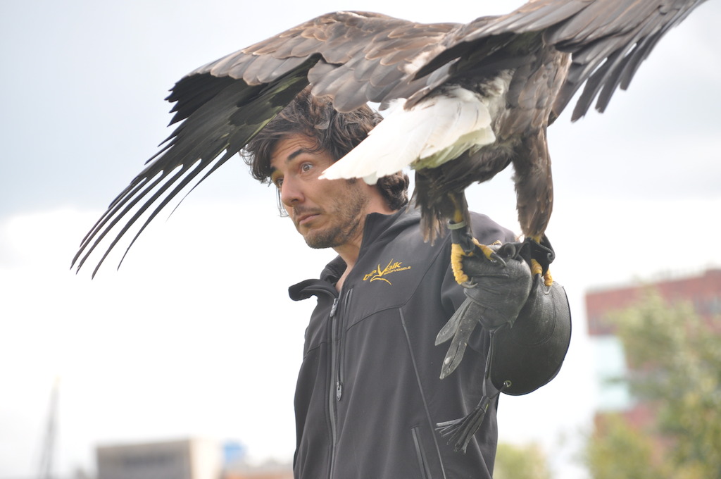 Aflevering 3: de roofvogels -zicht